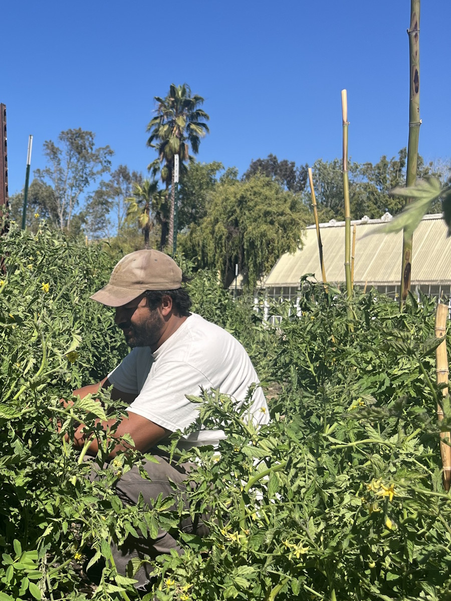 Jordan, Farm Manager at Honeybutter Farm