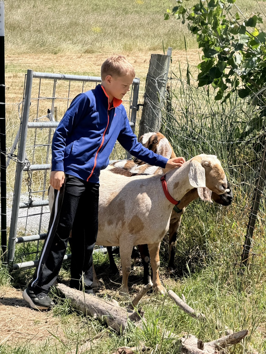 Junior farmer at Honeybutter Farm