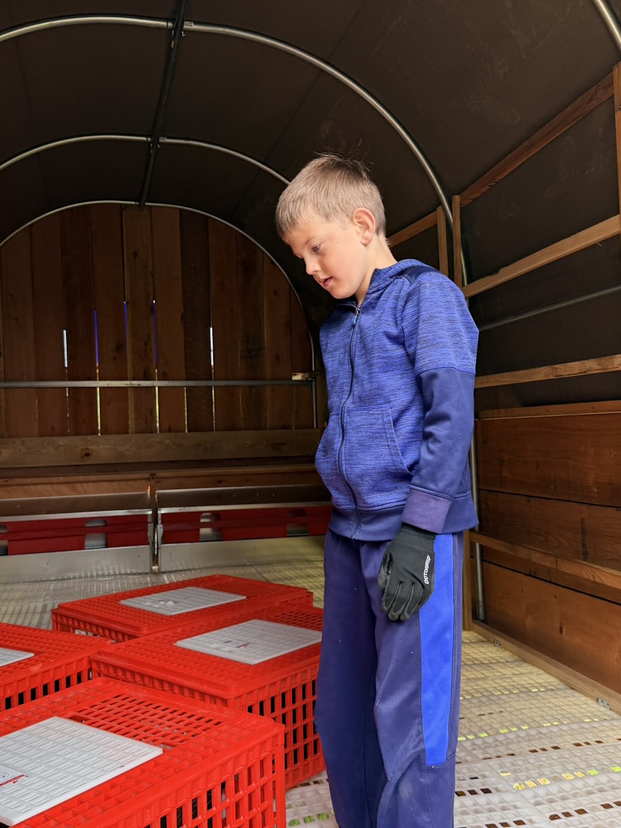Junior farmer at Honeybutter Farm